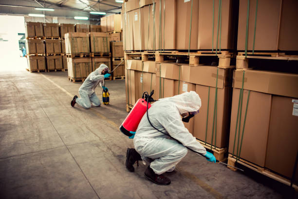 Best Flea Control Services  in Adamstown, PA