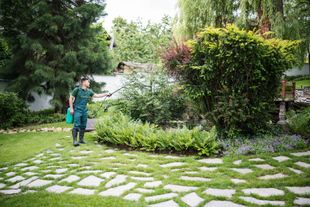 Best Best Pest Control Companies  in Adamstown, PA
