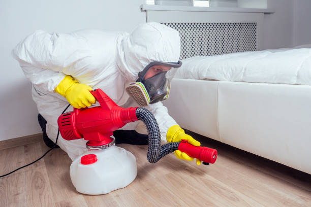 Best Termite Control Services  in Adamstown, PA