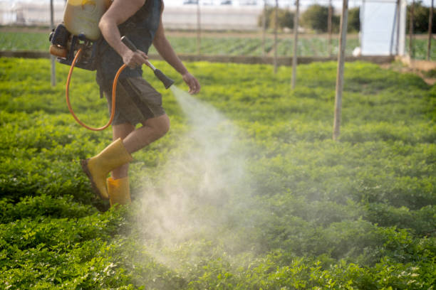 Reliable Adamstown, PA Pest Control Solutions